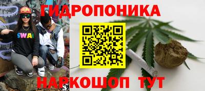 дмт Братск