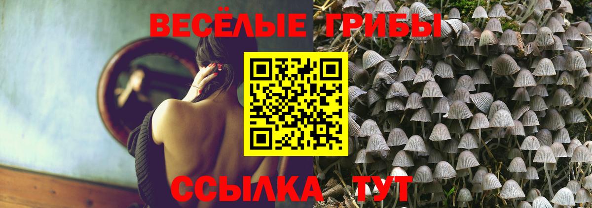 Псилоцибиновые грибы Magic Shrooms  Галлюциногенные грибы Cubensis  Вход с VPN  Жуковский 