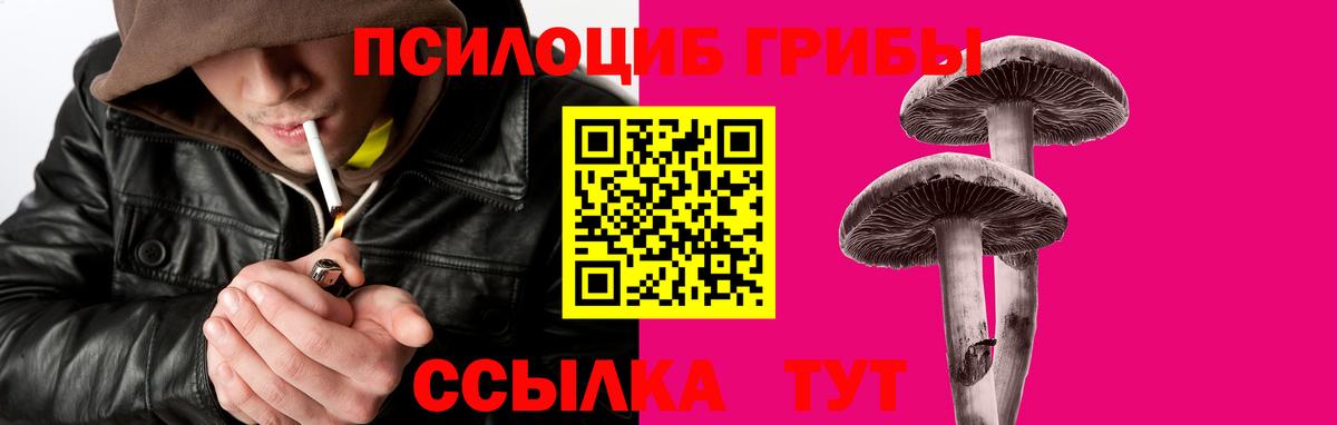 Галлюциногенные грибы Magic Shrooms Жуковский